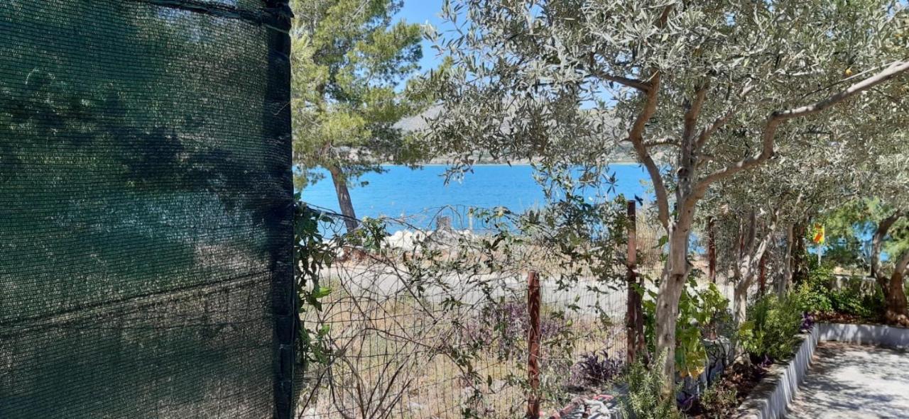 Apartmani Ante Trogir Bagian luar foto